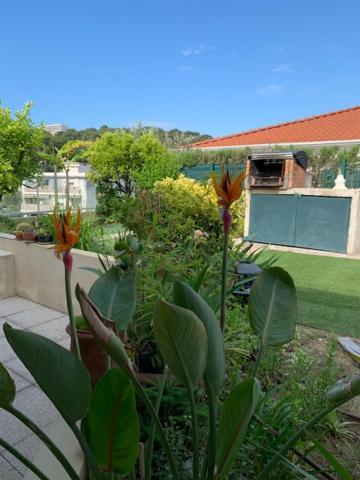 Jardin D'Azur Proche Mer Cagnes-sur-Mer Exteriör bild